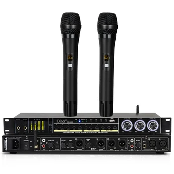  Biner REV3900 Професионален цифров караоке аудио ефекти процесор с 2 UHF ръчни микрофона