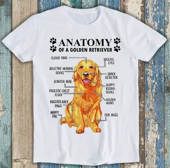  Анатомия на голдън ретривър Смешно куче Унисекс подарък Tee T Shirt M1306 дълги ръкави